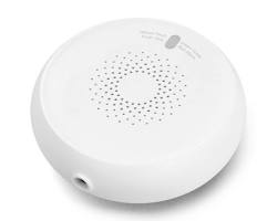 Изображение: smart home with sensors for smoke, gas leaks, and water leaks, connected to an AI system that can automatically take action to mitigate risks