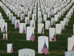 Image result for military cemetery with flags
