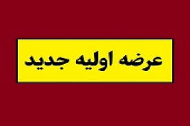 "هانیکو" دوازدهمین شرکت جدید هم به روش ترکیبی آماده عرضه اولیه شد
