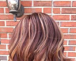 Image de Brown hair with copper blonde highlights