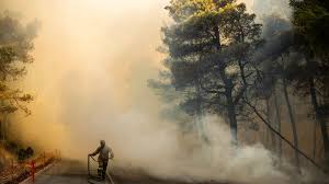 Incêndios na Grécia: ‘vamos ter dias extremamente difíceis pela frente’, diz primeiro-ministro