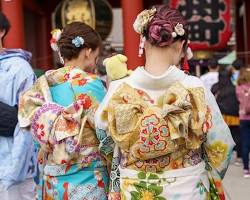 dog wearing a kimono in front of Sensoji Templeの画像