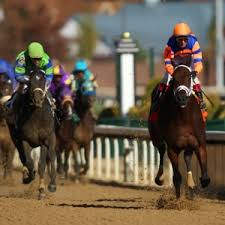 Image result for The 2015 Blue Grass Stakes from Keeneland