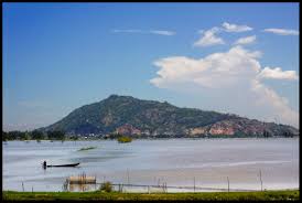 Kết quả hình ảnh cho nui sam