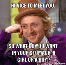 Resized_creepy-willy-wonka-meme-generator-hi-nice-to- - resized_creepy-willy-wonka-meme-generator-hi-nice-to-meet-you-so-what-do-you-want-in-your-stomach-a-girl-or-a-boy-b8d0a8