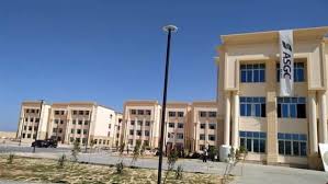 جريدة الدستور - News update