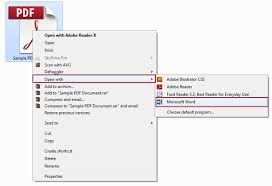 Image result for PDF to word + office 2013