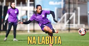Meu Timão - News update