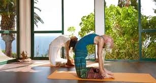 Resultado de imagem para desafio da yoga fotos
