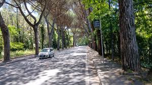 Il Giornale dei Castelli Romani - News update