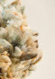 Картинки по запросу картинка созидание или разрушение