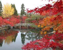 永観堂の紅葉の画像