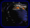 images?q=tbn:ANd9GcQvWsKBMIueDHG611j7_qSWLVOY1GuFR9VZ5XuypbdRVOep4FJC