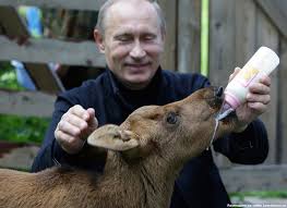 Любимый байкер Путина "Хирург" приехал спасать Севастополь от Евромайдана: "Здесь рубеж борьбы с глобальным сатанизмом и сестрами Кличко" - Цензор.НЕТ 4980