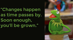 12 Kermit the Frog Quotes for Your Bad Days via Relatably.com