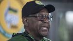 Motshekga: State capture commission inquiry