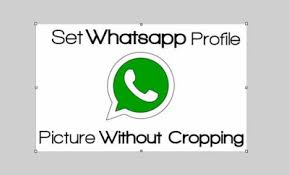 Image result for whatsapp profile photos