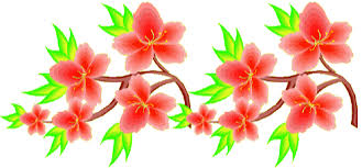 Résultat de recherche d'images pour "image fleur"