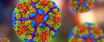 ScienceAlert - News update