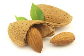Image result for almonds