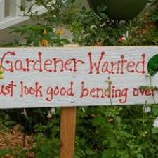 Funny Garden Signs on Pinterest | Gardening Quotes, Garden Signs ... via Relatably.com