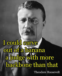 Greatest eleven distinguished quotes by theodore roosevelt pic Hindi via Relatably.com
