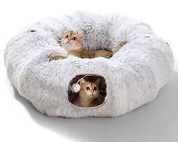 cat tunnel and cat houseの画像