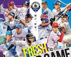 プロ野球オールスターゲームの画像