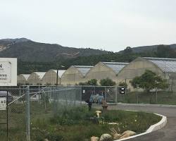 Image of Carpinteria Valley Farms, Carpinteria, California