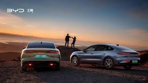 Trend Google: byd