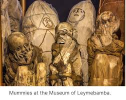 Chachapoya mummies discovered in Peru's cloud forests