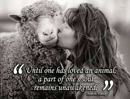 10 Inspiring Quotes about Animals | One Green Planet via Relatably.com