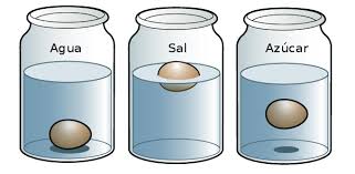 Resultado de imagen de EXPERIMENTOS CON HUEVOS