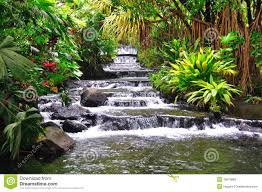 Image result for tabacon hot springs