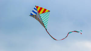 Image result for kite