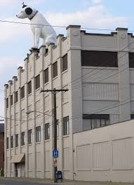 Image result for nipper albany