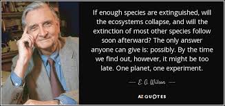 E. O. Wilson quote: If enough species are extinguished, will the ... via Relatably.com