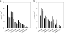 Codon Optimisation Is Key for Pernisine Expression in Escherichia coli