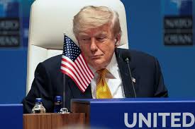 Em meio ao tarifaço, governo Trump percorre cidades brasileiras para atrair empresas aos EUA