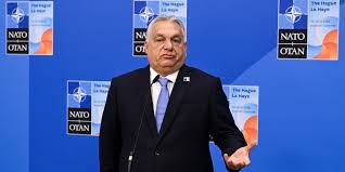 Business Insider Polska - News update