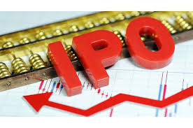 Image result for IPO