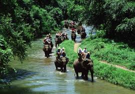 Image result for riding an elephant