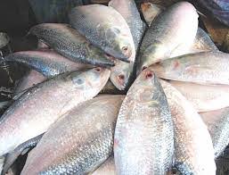 Image result for Fisheries, in Manikganj District