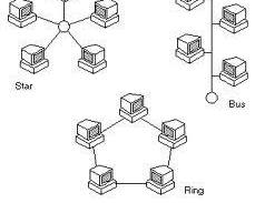 Image of Network Topologies: Star, Bus, Ring