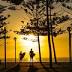 Sydney's sizzle to extend well into May as the nation heats up