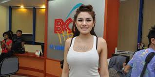 Hasil gambar untuk tentang nikita mirzani