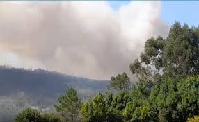 21Noticias - News update