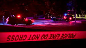 WZZM13.com - News update