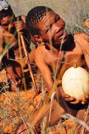 Image result for kalahari desert people oldest