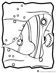 fish coloring pages ile ilgili görsel sonucu